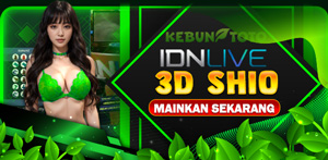 Casino Games 3dshio