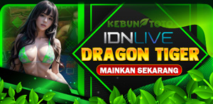Casino Games dragon tiger